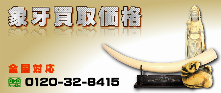 象牙買取価格