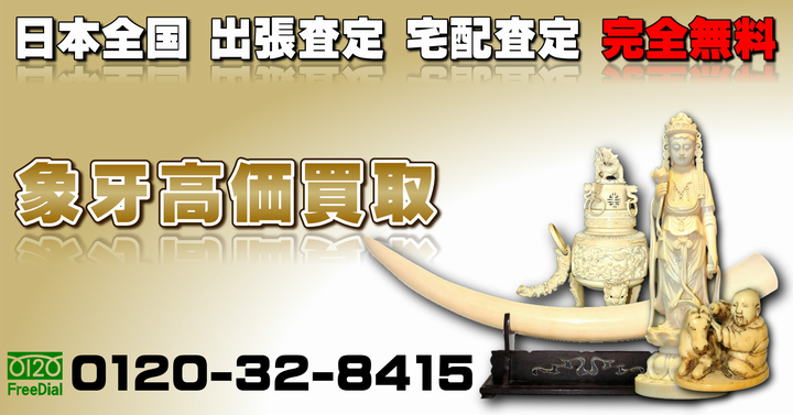 NHP k象牙2